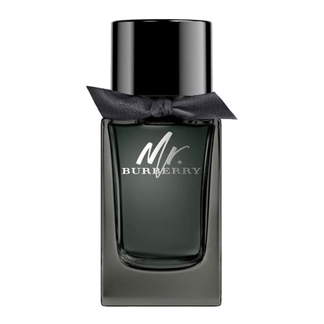 mr burberry perfume price in pakistan|where to buy mr burberry.